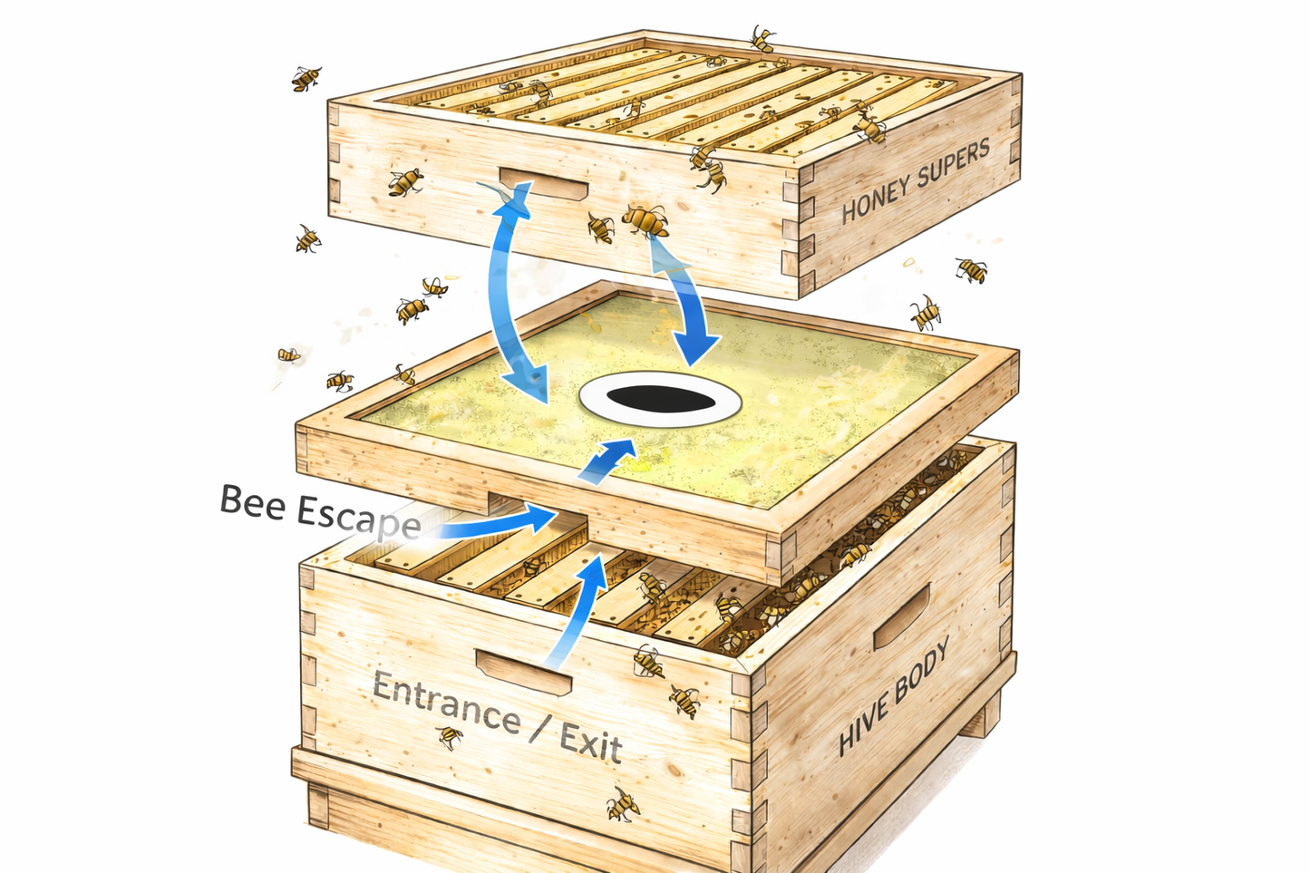 Hoover Hives Wax-Coated 10-Frame Langstroth Inner Cover