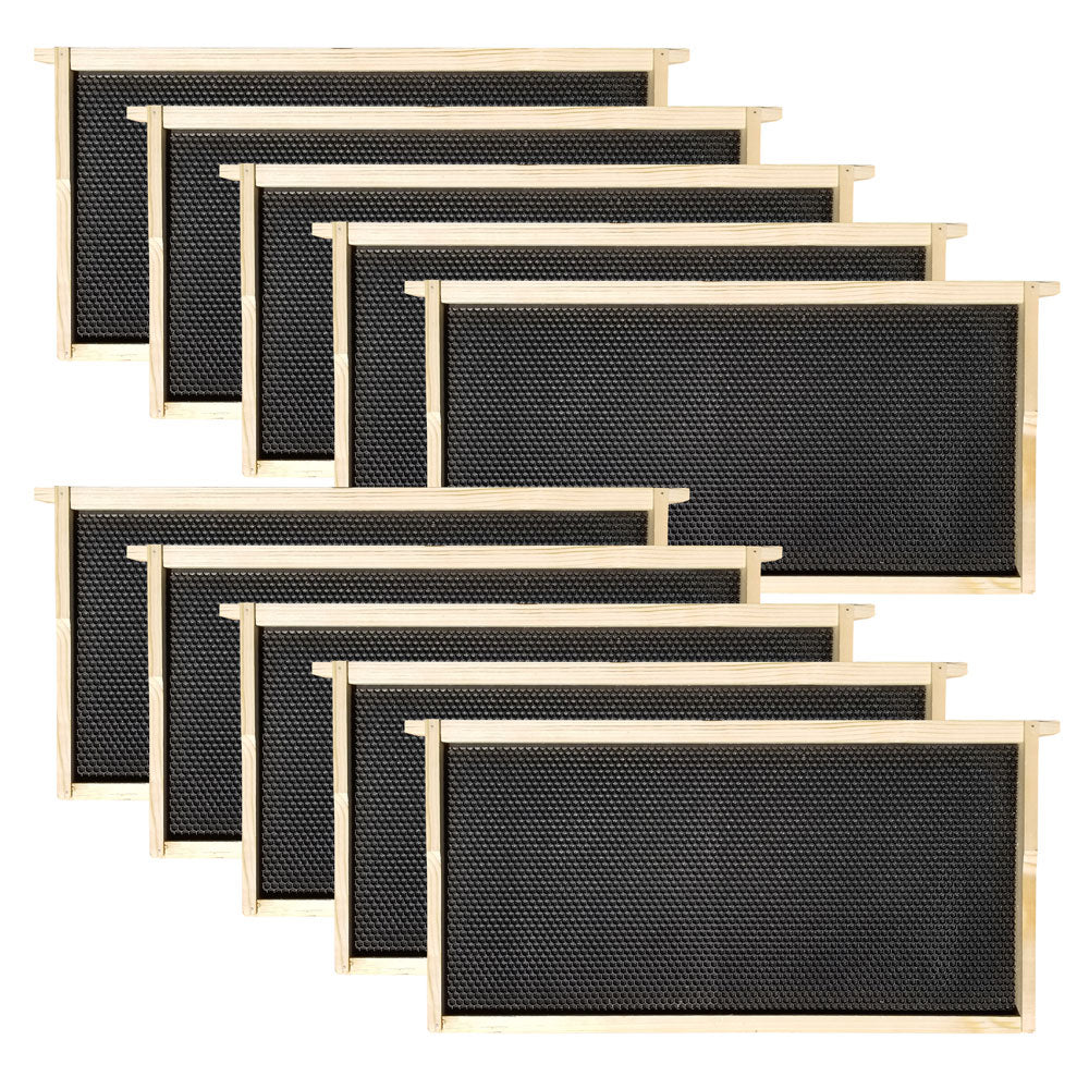 Wax-Coated 10 Frame Beehive - (2)Deeps & (4)Mediums