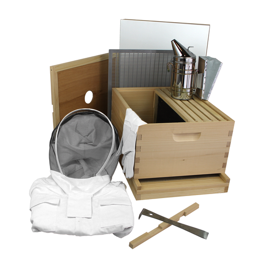 Busy Bees ‘N’ More 10-Frame Beehive Starter Kit – Nuc Ready