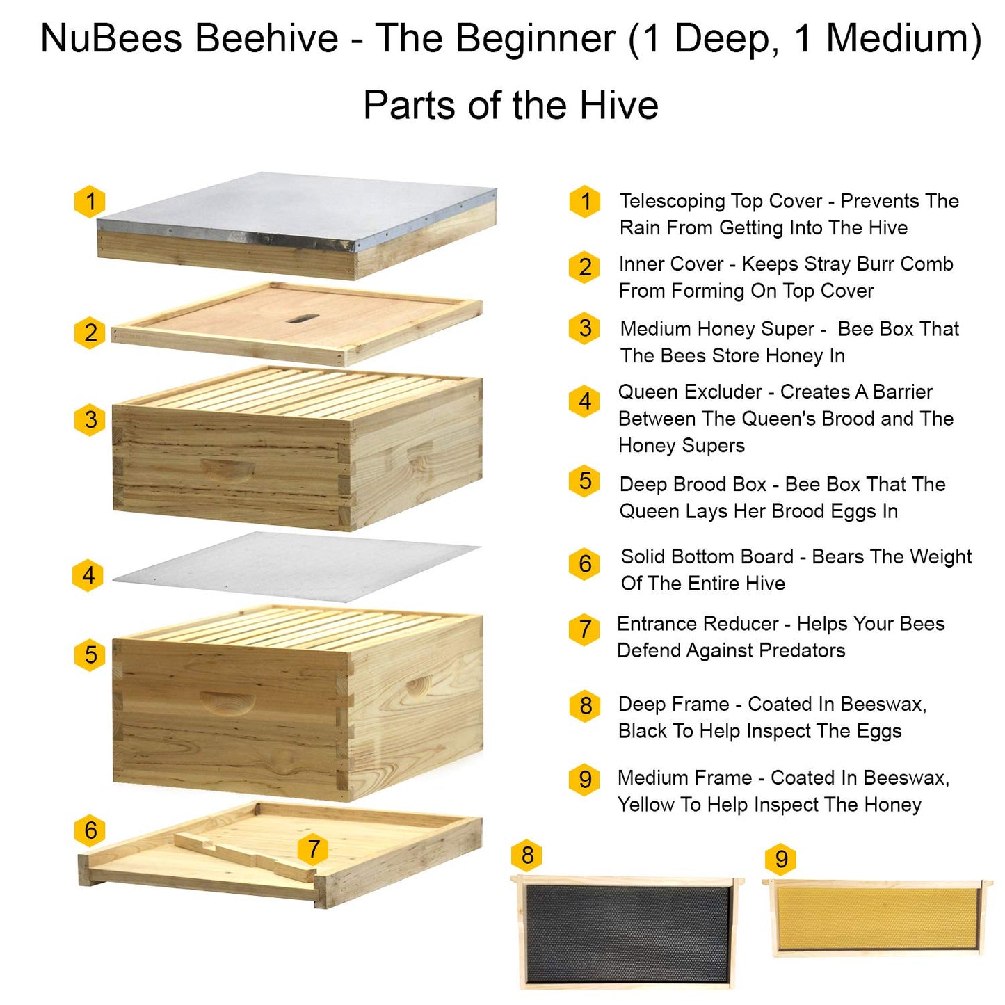 NuBee 10 Frame Complete Beehive Kit – Unassembled (1 Deep + 1 Medium Boxes) with Frames & Wax-Coated Foundations | Beginner Langstroth Hive