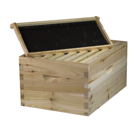 8 Frame Deep Brood Box w/ Dovetail Joints (Unassembled w/ Frames and Foundations)
