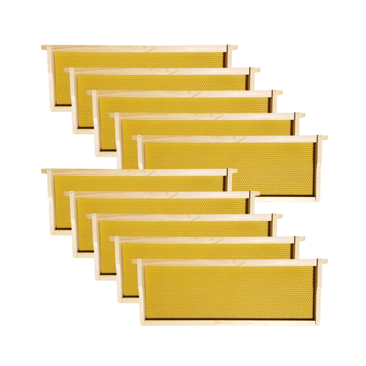 8 Frame Medium Super Box w/ Dovetail Joints (Painted and Assembled)