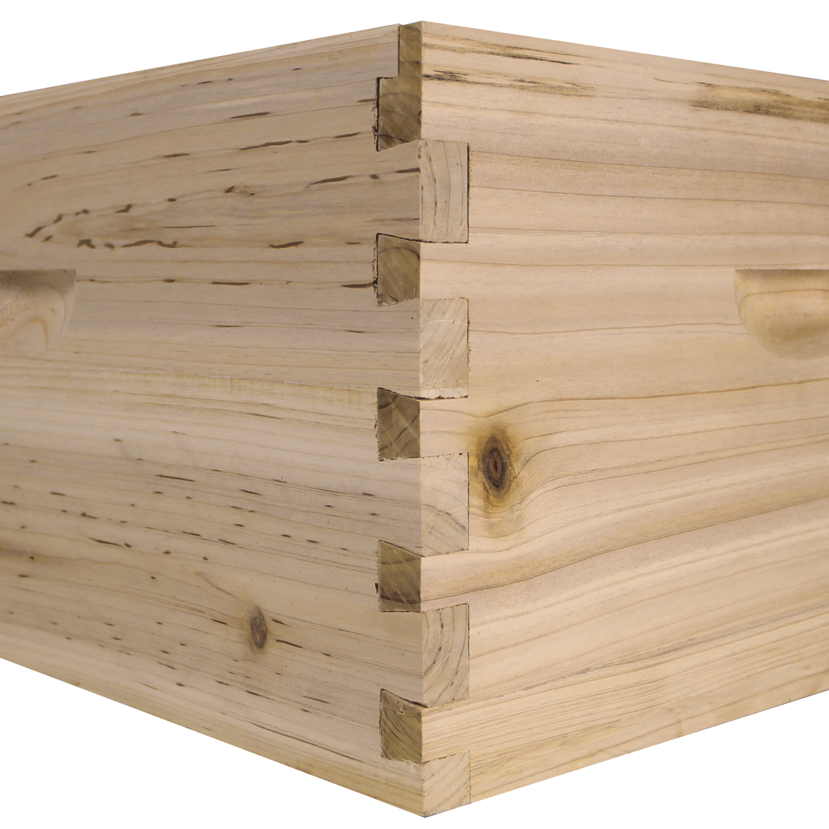 NuBee 10-Frame Beehive Starter Kit – Assembled 1 Deep Brood Box with Frames & Wax-Coated Foundations (Complete Hive Kit)