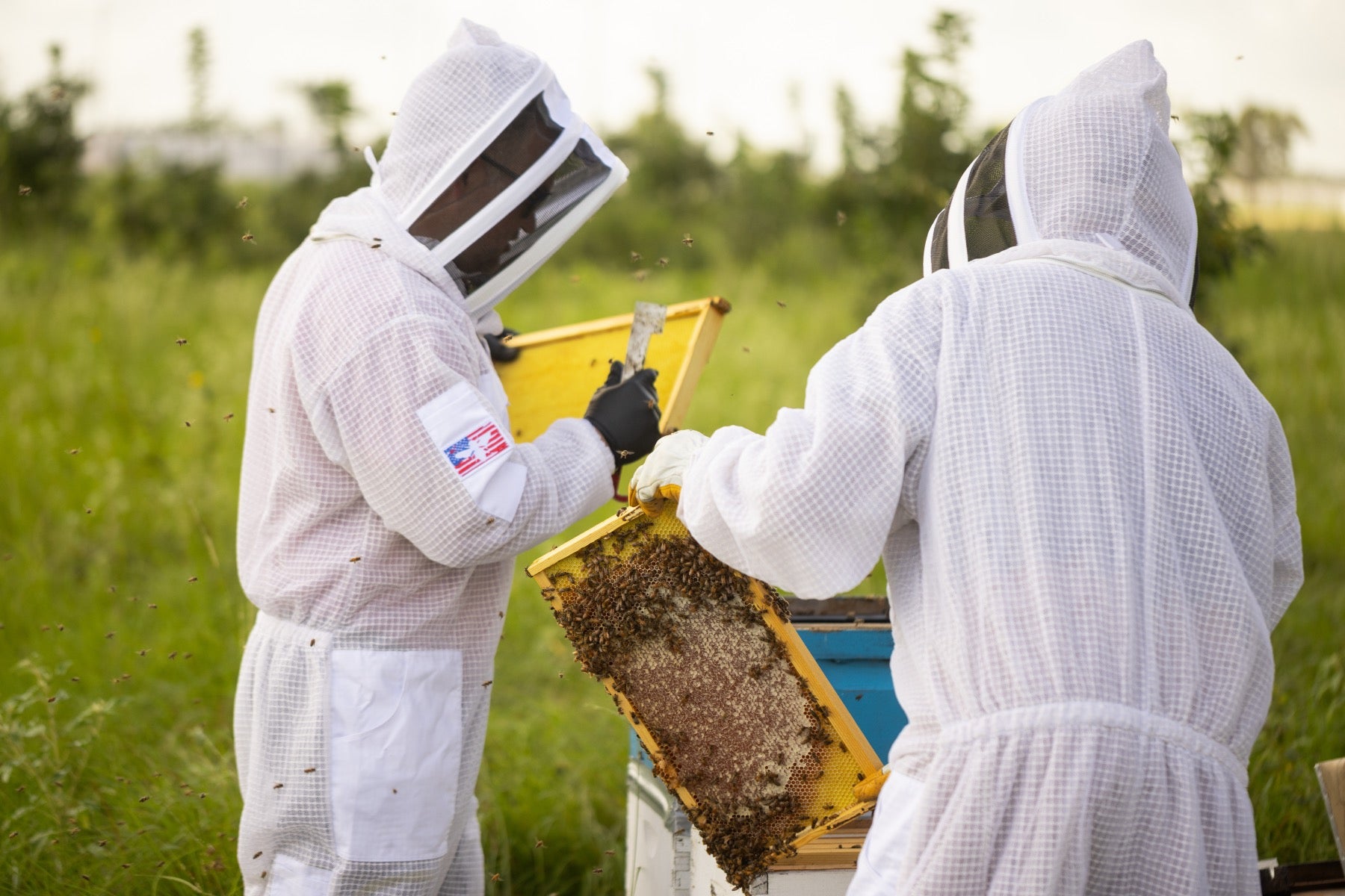 Two people in beekeeping suits examining a honeycomb frame outdoors