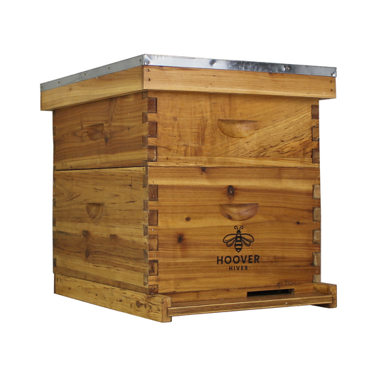 Fully Assembled 10-Frame Wax-Coated Beehive Kit – (1) Deep & (1) Medium | Hoover Hives® Original Beeswax Finish