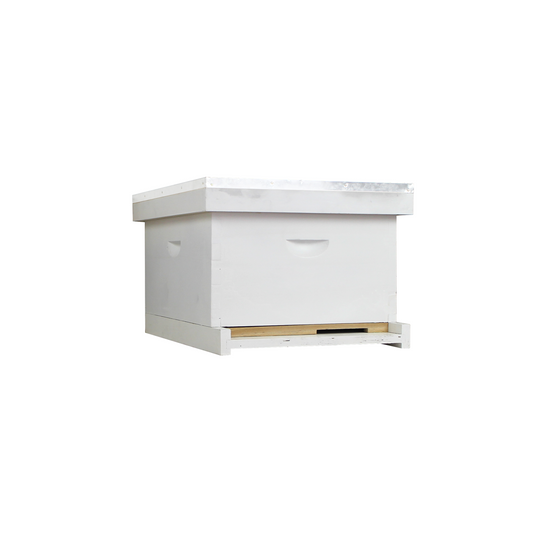 10 Frame Complete Beehive Kit – Fully Assembled & Painted (1 Deep Box) Amish-Made with Frames & Wax-Coated Foundations