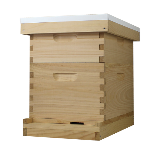 8 Frame Complete Beehive Kit – Fully Assembled & Painted (1 Deep & 1 Medium Boxes) Amish-Made with Frames & Wax-Coated Foundations