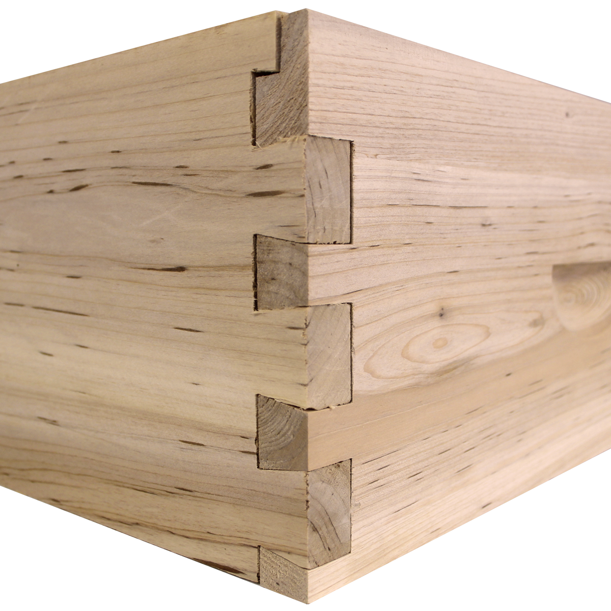 10 Frame Beehive Starter Kit – 1 Deep Brood Box with Frames & Wax-Coated Foundations (Complete Beginner Hive Kit)