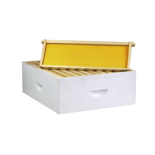 10 Frame Painted Medium Honey Super – Amish-Made w/ Assembled Frames & Wax-Coated Foundations