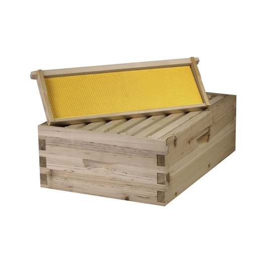 8 Frame Medium Super Box w/ Dovetail Joints (Painted and Assembled)